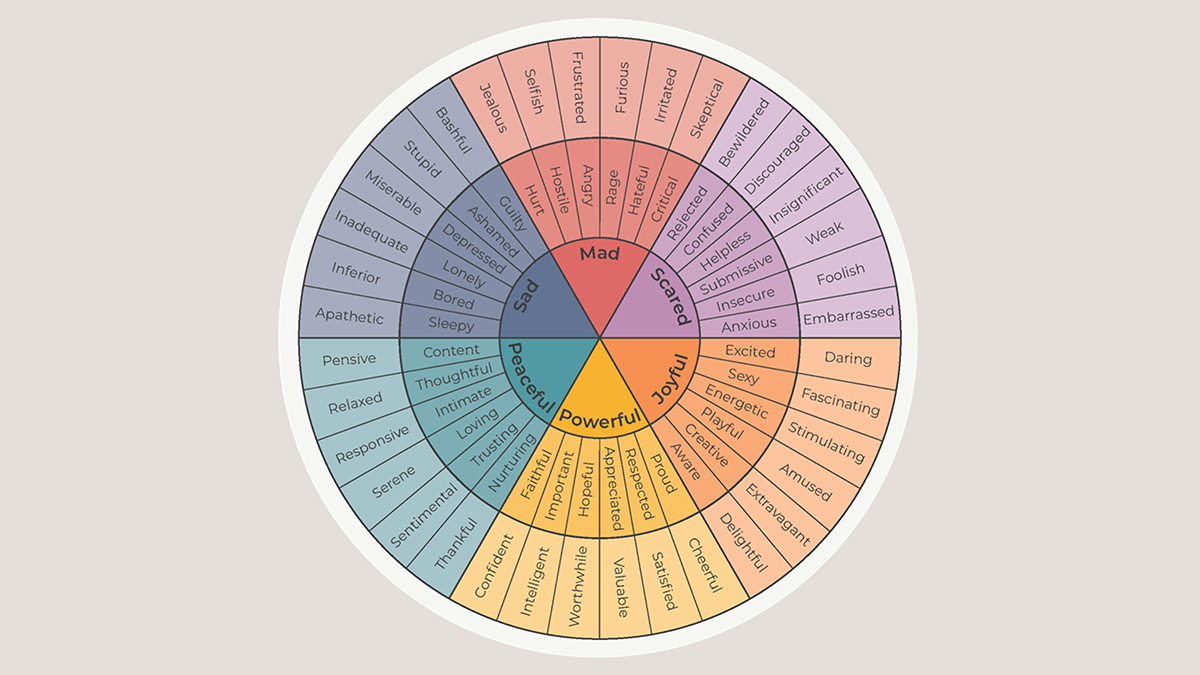 emotion wheel, counseling, coaching