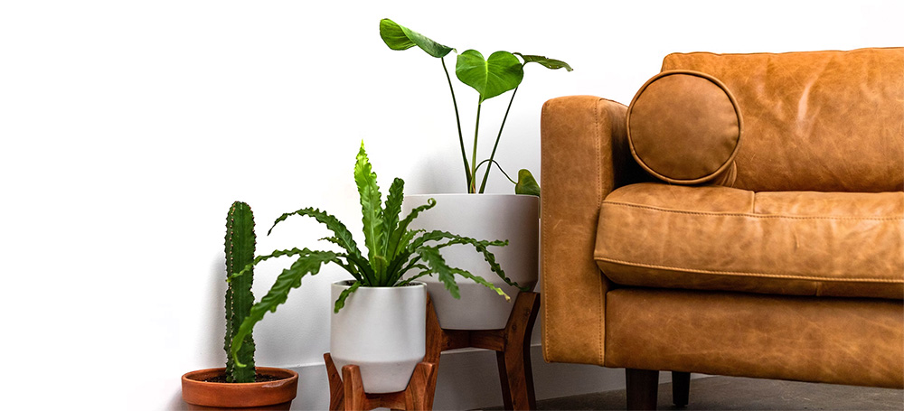 Integrative Therapist and Life Coach in Longmont, CO.