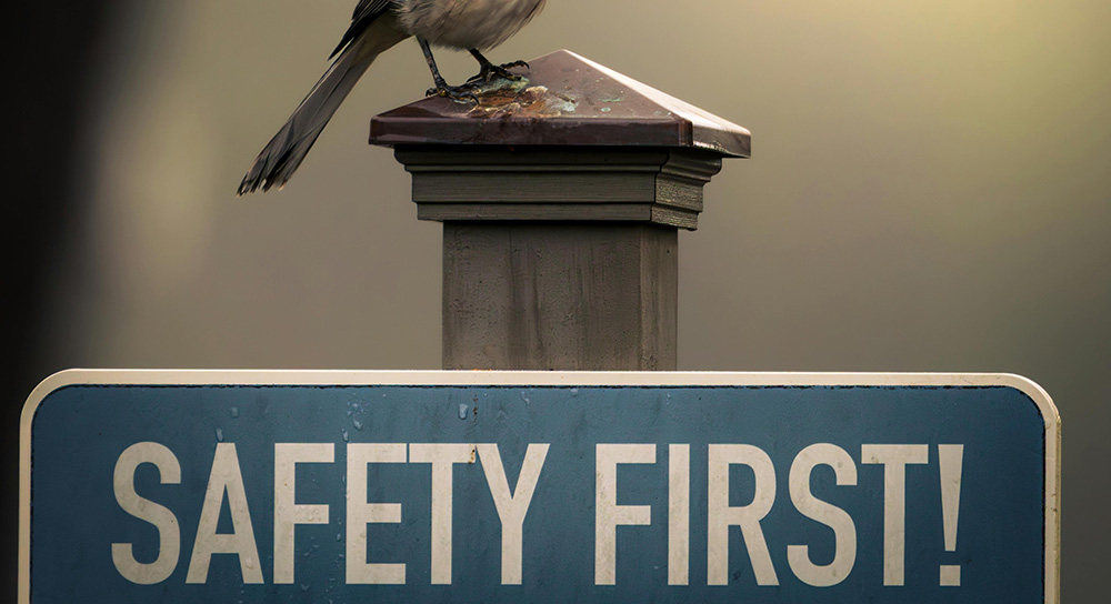 therapeutic relationship, emotional safety